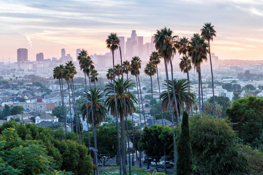 Los Angeles skyline and downtown with palm trees at sunset